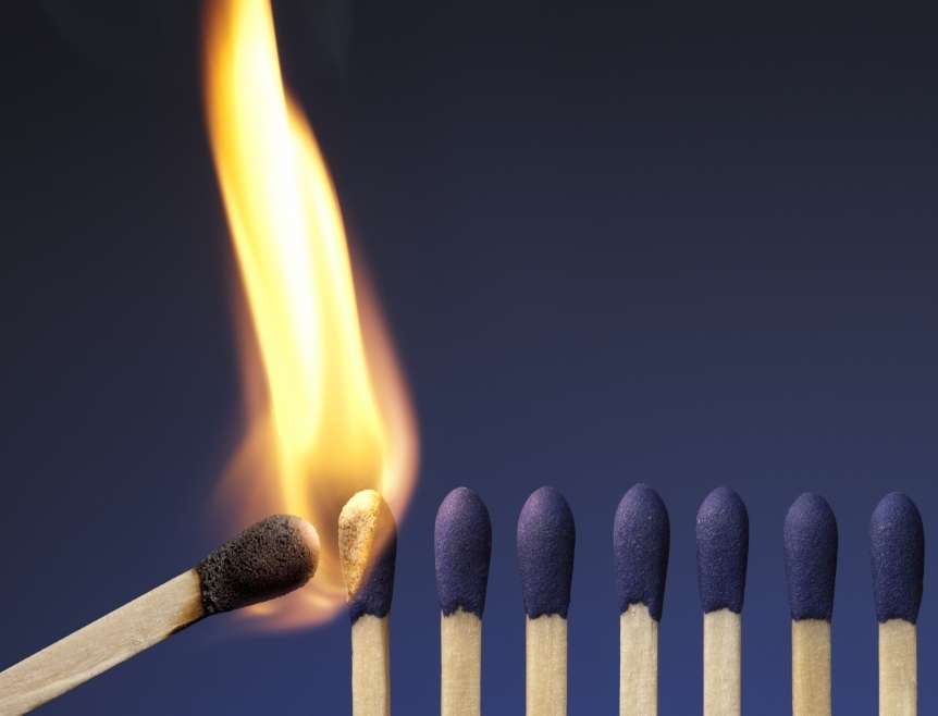 REPUTATION MANAGEMENT